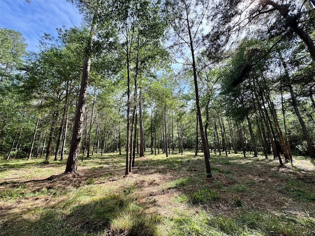13A-1-1 Texas Grand Rd, Huntsville, TX 77340