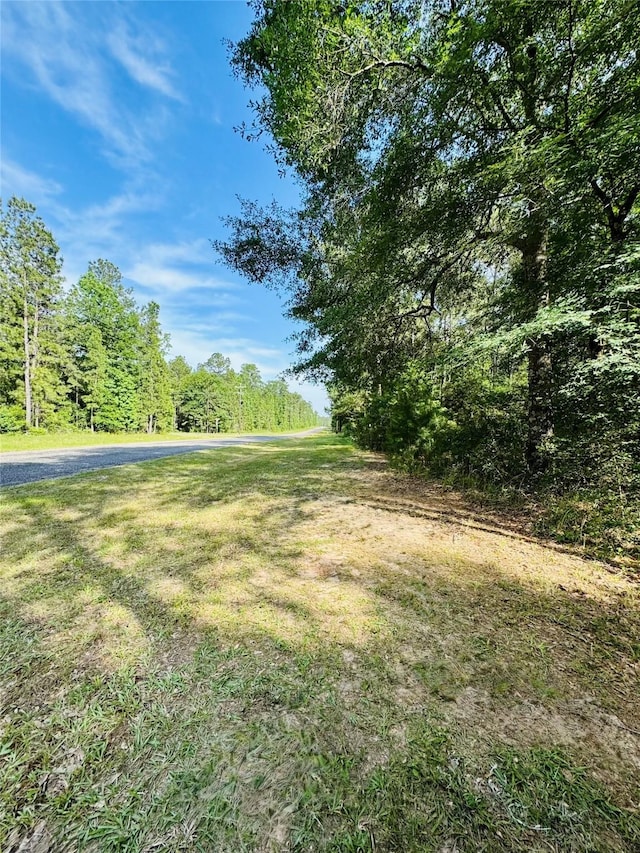 13A-1-1 Texas Grand Rd, Huntsville, TX 77340