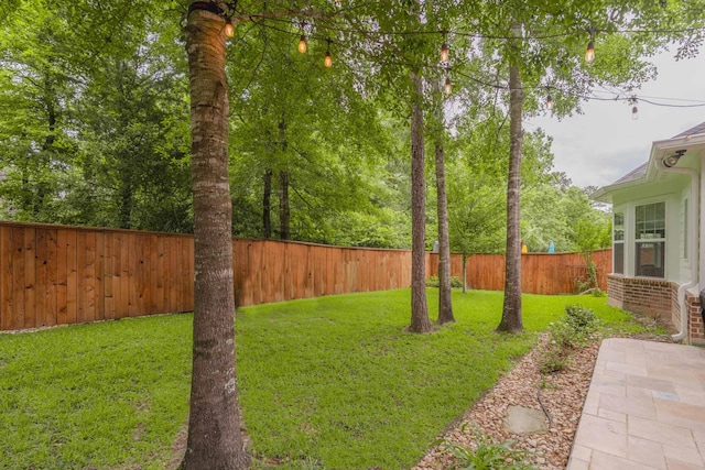 151 Jacks Corner Dr, Montgomery, TX 77316 - view of yard