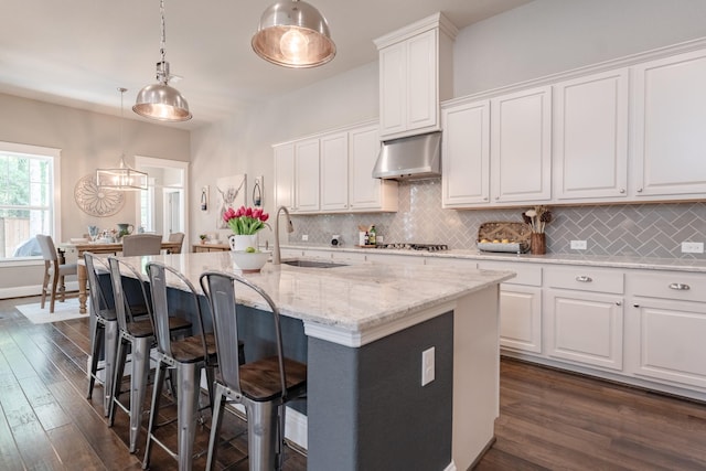 151 Jacks Corner Dr, Montgomery, TX 77316 - kitchen featuring under cabinet range hood, a sink, dark wood finished floors, white cabinetry, and backsplash