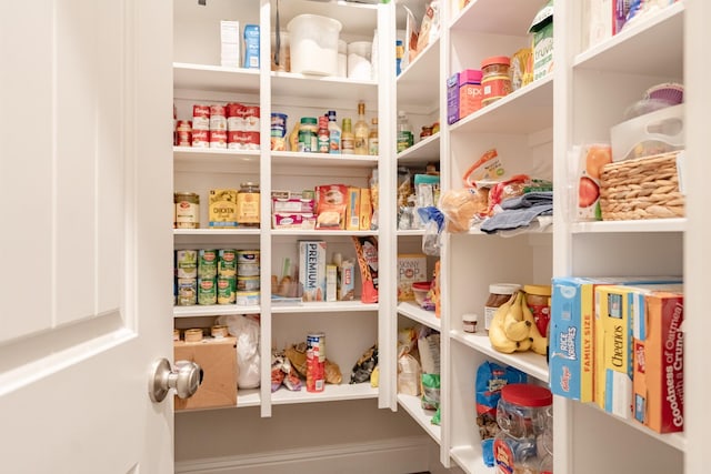 151 Jacks Corner Dr, Montgomery, TX 77316 - view of pantry