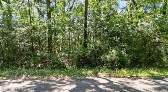 TBD Commodore Dr, Livingston, TX 77351