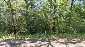 TBD Commodore Dr, Livingston, TX 77351