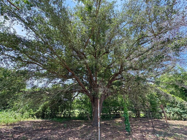 403 Fern Ln, Wharton, TX 77488 - view of local wilderness