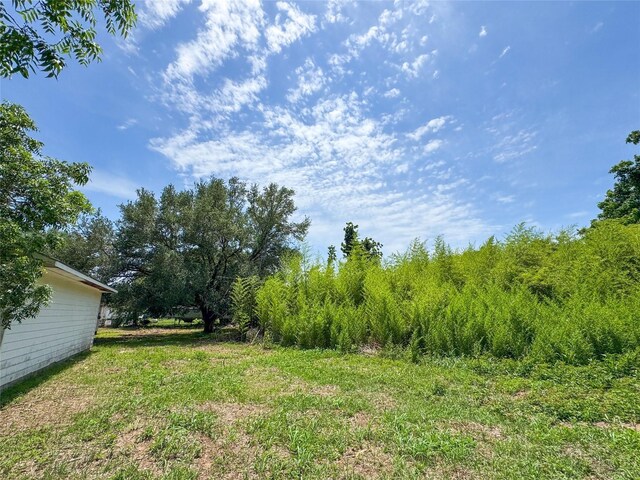 403 Fern Ln, Wharton, TX 77488 - view of yard