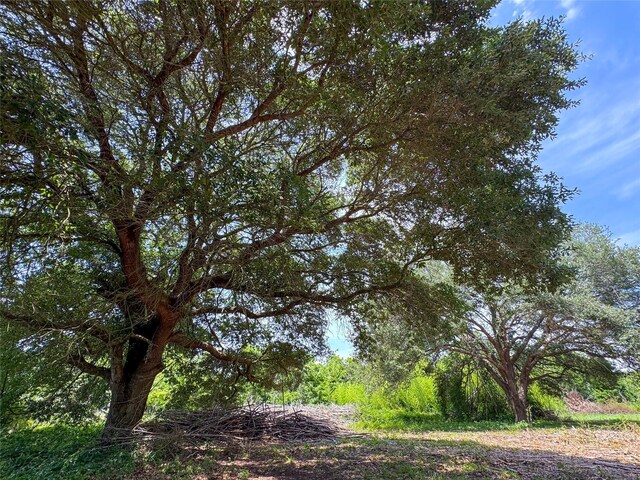 403 Fern Ln, Wharton, TX 77488 - view of local wilderness