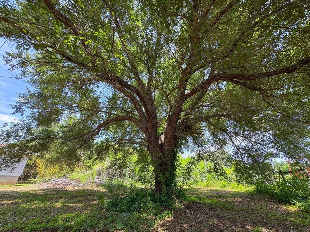 403 Fern Ln, Wharton, TX 77488 - view of undeveloped land