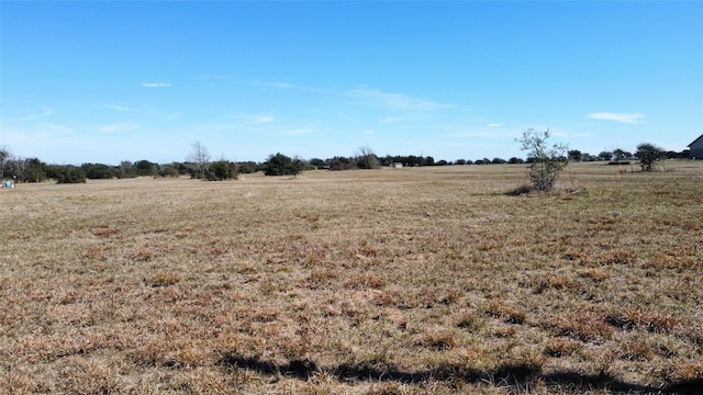 8412 Hillboldt Rd, Cat Spring, TX 78933 - photo 3