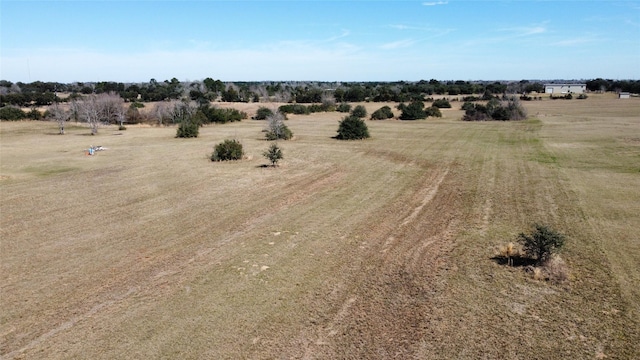 8412 Hillboldt Rd, Cat Spring, TX 78933 - photo 4