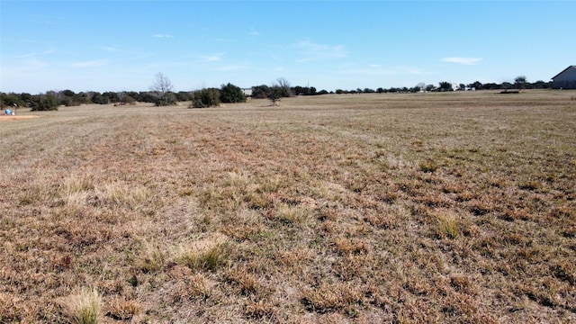 8412 Hillboldt Rd, Cat Spring, TX 78933 - photo 10