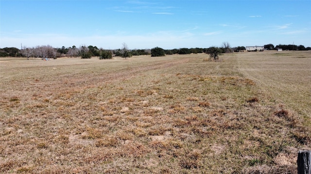 8412 Hillboldt Rd, Cat Spring, TX 78933 - photo 11