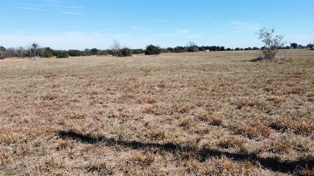 8412 Hillboldt Rd, Cat Spring, TX 78933 - photo 12