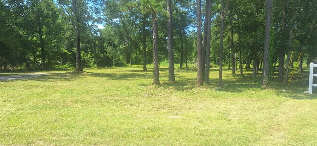 0 Kalka Rd, Conroe, TX 77302