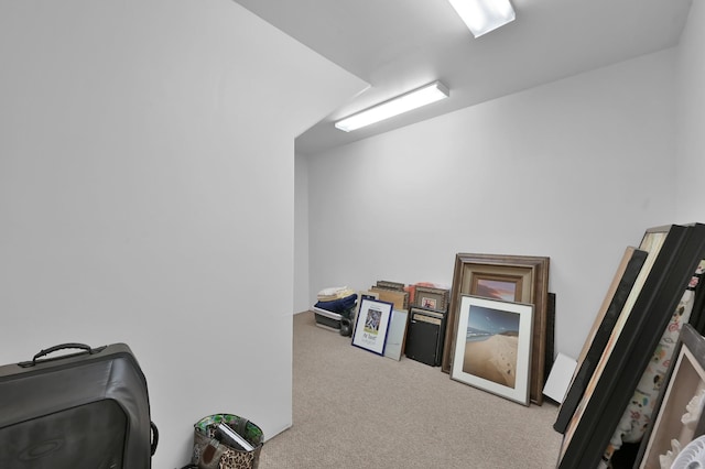 28310 Whispering Maple Way, Spring, TX 77386 - view of storage