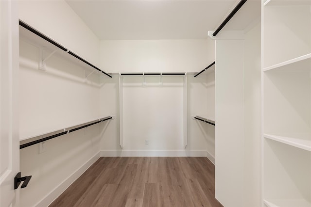 6137 Pacific Forest Dr, Houston, TX 77346 - spacious closet featuring light wood finished floors