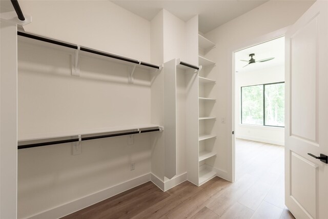 6137 Pacific Forest Dr, Houston, TX 77346 - spacious closet featuring light wood-style flooring and a ceiling fan