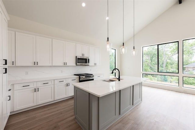 6137 Pacific Forest Dr, Houston, TX 77346 - kitchen featuring stainless steel appliances, backsplash, a sink, light wood finished floors, and high vaulted ceiling