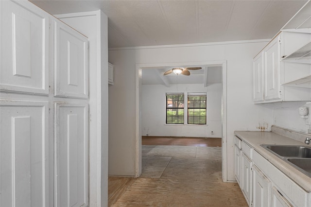 2240 Easley Cir, Huntsville, TX 77320 - kitchen with a sink, light wood-style floors, white cabinets, ceiling fan, and ornamental molding