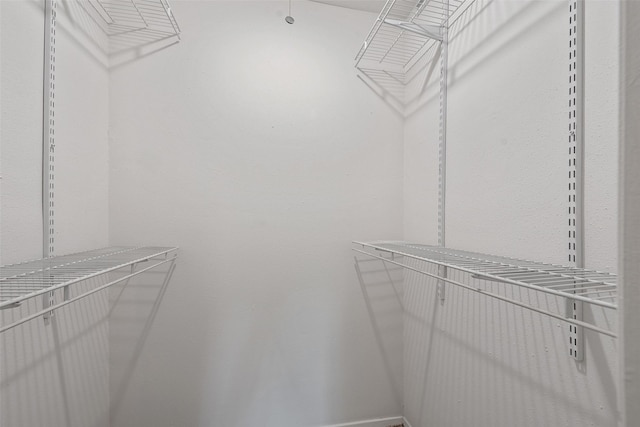 9507 Rannock Way, Spring, TX 77379 - view of walk in closet