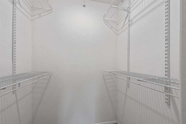 9507 Rannock Way, Spring, TX 77379 - view of walk in closet