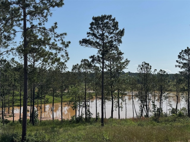 TBD Western Rd, Livingston, TX 77351