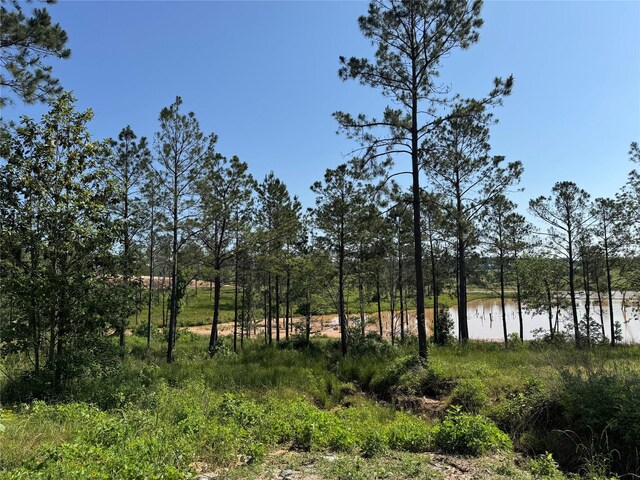 TBD Western Rd, Livingston, TX 77351