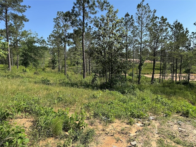 TBD Western Rd, Livingston, TX 77351
