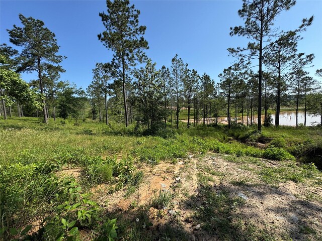 TBD Western Rd, Livingston, TX 77351