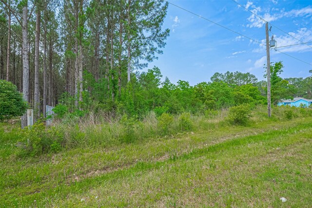 2364 County Road 3548, Cleveland, TX 77327 - photo 8