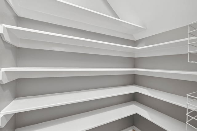 137 E Summerhaze Cir, The Woodlands, TX 77382 - view of pantry