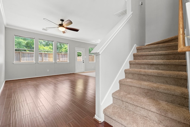 137 E Summerhaze Cir, The Woodlands, TX 77382 - staircase with a ceiling fan, crown molding, baseboards, and wood finished floors