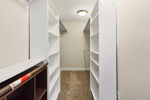 5000 Old Castle Ln, Dickinson, TX 77539 - spacious closet with carpet floors