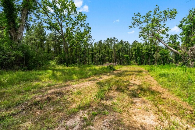3625 County Road 4520, Warren, TX 77664