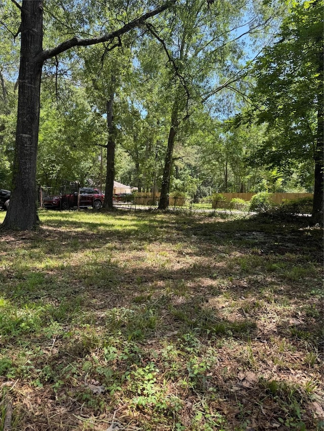 06 Peach Creek Frst, New Caney, TX 77357