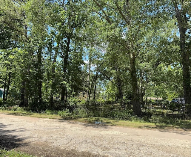 06 Peach Creek Frst, New Caney, TX 77357