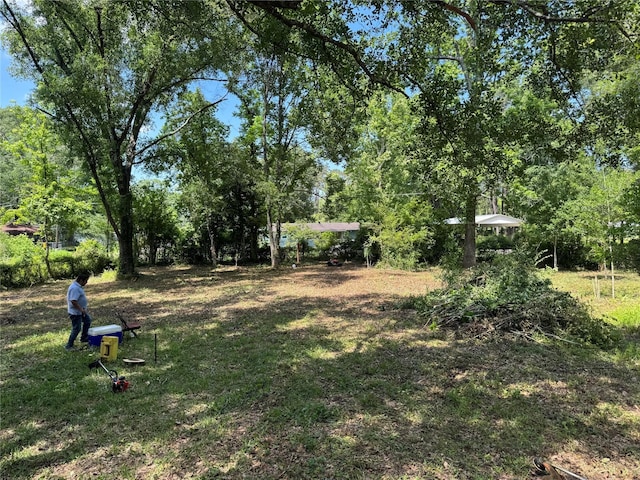 06 Peach Creek Frst, New Caney, TX 77357