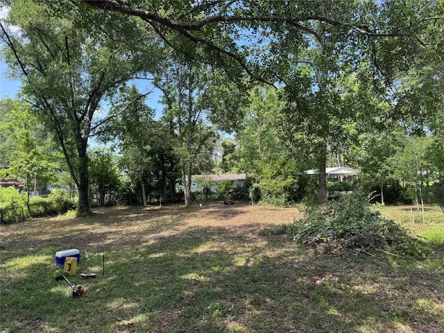 06 Peach Creek Frst, New Caney, TX 77357