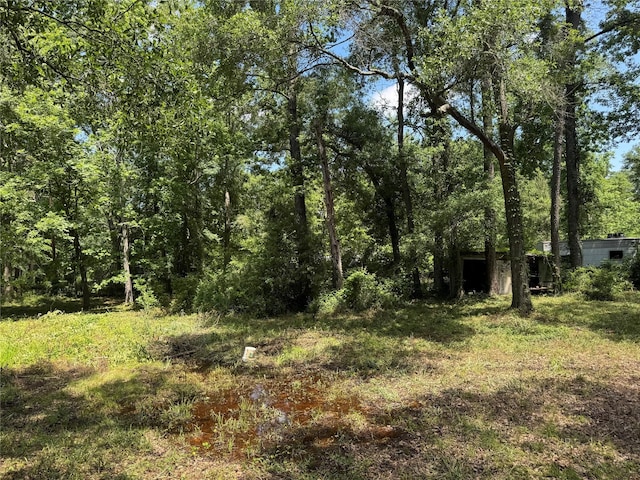 06 Peach Creek Frst, New Caney, TX 77357