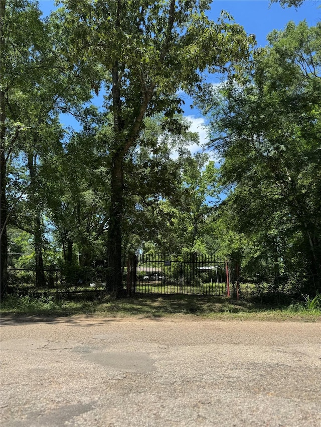 06 Peach Creek Frst, New Caney, TX 77357
