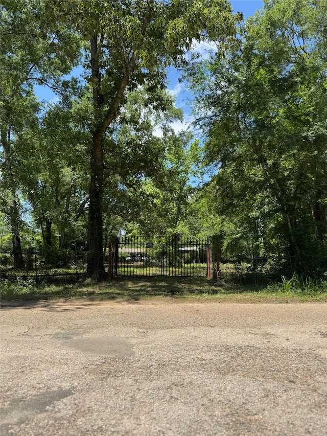 06 Peach Creek Frst, New Caney, TX 77357