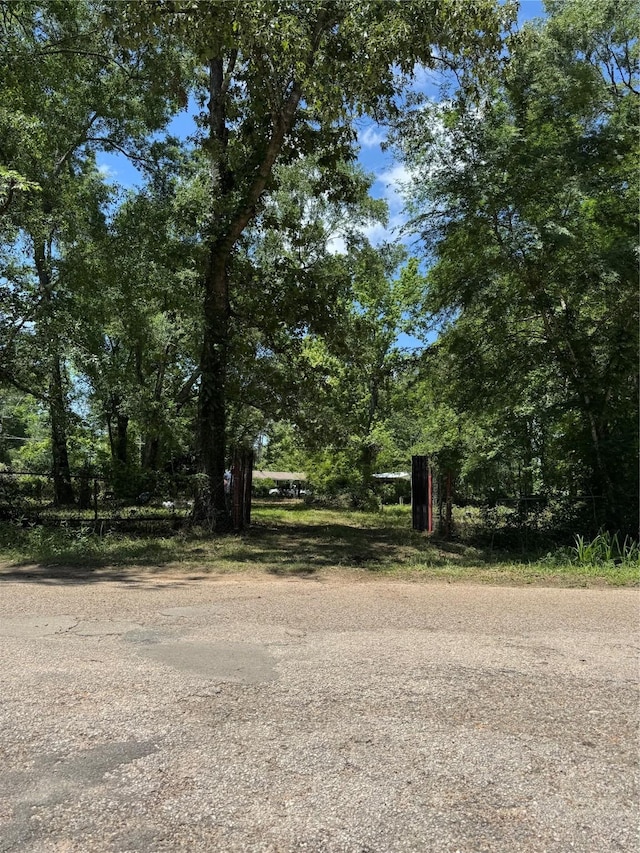 06 Peach Creek Frst, New Caney, TX 77357