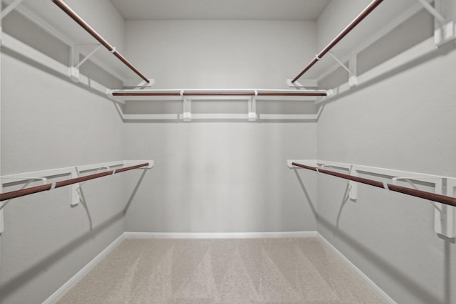 32415 Tallow Creek Dr, Waller, TX 77484 - walk in closet featuring carpet floors