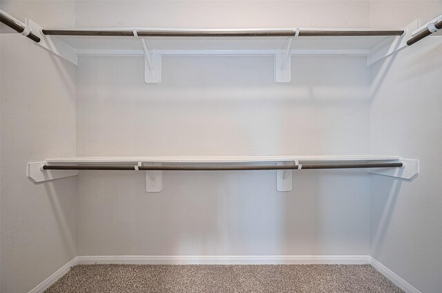 24710 Landolfi Dr, Katy, TX 77493 - spacious closet with carpet floors