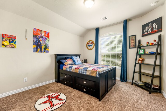 16927 Kaitlyn Kerria Ct, Richmond, TX 77407 - photo 24