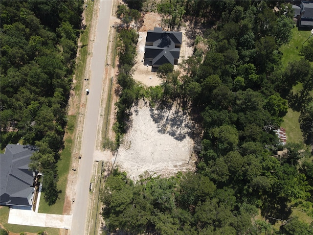 21321 Monarch Dr, Montgomery, TX 77316 - photo 3