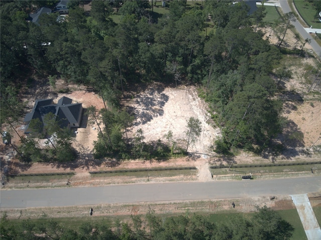 21321 Monarch Dr, Montgomery, TX 77316 - photo 6
