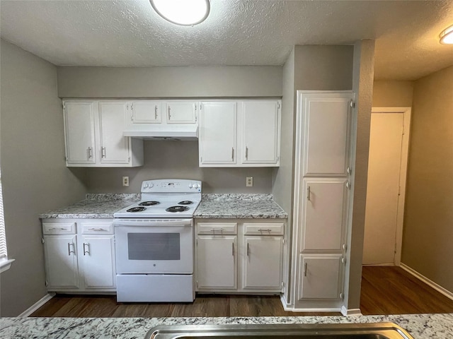 10555 Turtlewood Ct Unit 610, Houston, TX 77072 - kitchen with electric range, dark wood-style floors, white cabinets, baseboards, and a textured ceiling