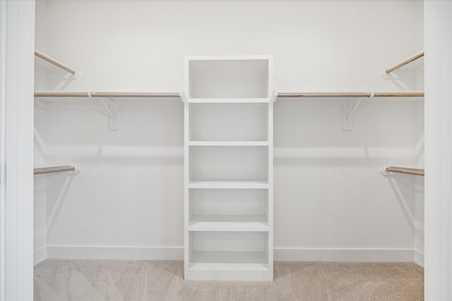 1544 W Tidwell Rd, Houston, TX 77091 - spacious closet with carpet flooring