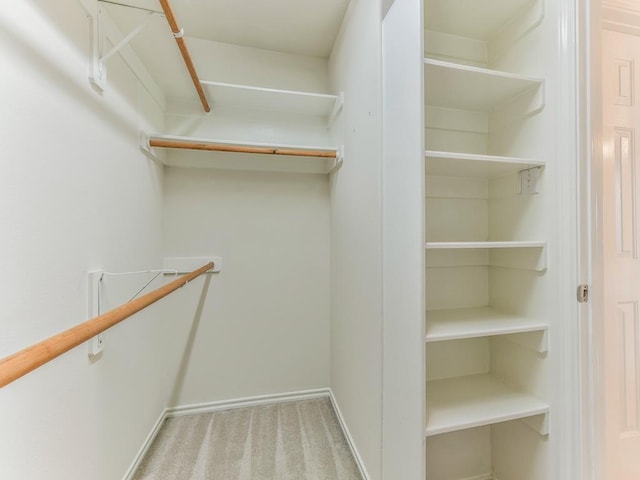 24247 Silversmith Ln, Katy, TX 77493 - walk in closet with carpet