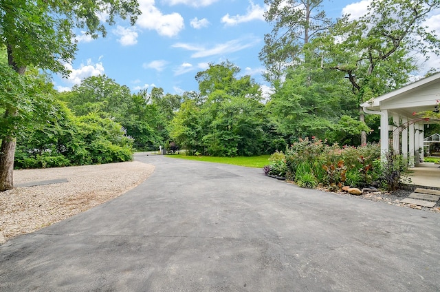 25292 Willow Creek Rd, Hockley, TX 77447 - view of concrete driveway